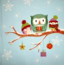 051 Eulen - 3-lagig - Ti-Flair